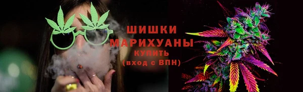 прущие грибы Арсеньев