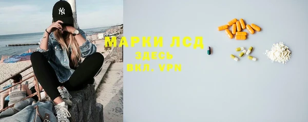 прущие грибы Арсеньев