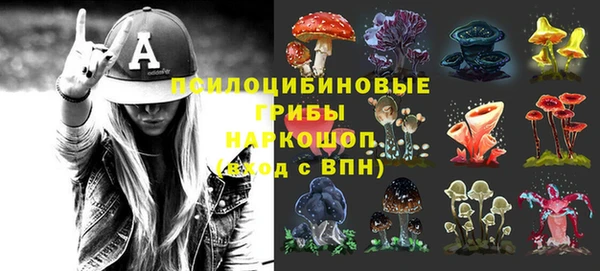 прущие грибы Арсеньев