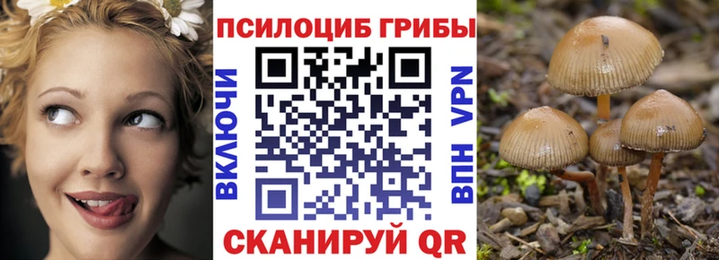 Галлюциногенные грибы GOLDEN TEACHER Железноводск